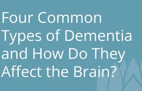 Four Common Types of Dementia and How Do They Affect the Brain.jpg