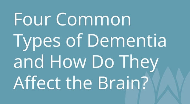 Four Common Types of Dementia and How Do They Affect the Brain.jpg